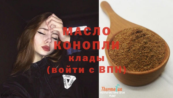 индика Верхний Тагил